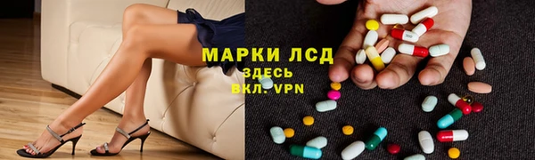 трава Гусев
