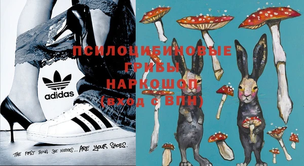 трава Гусев