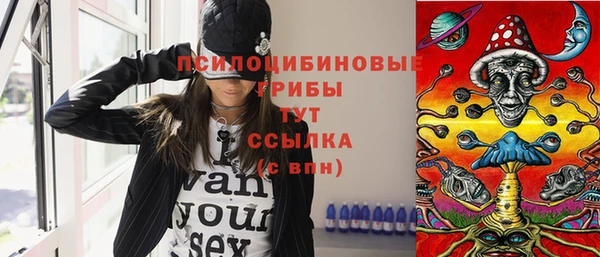 твердый Гусиноозёрск