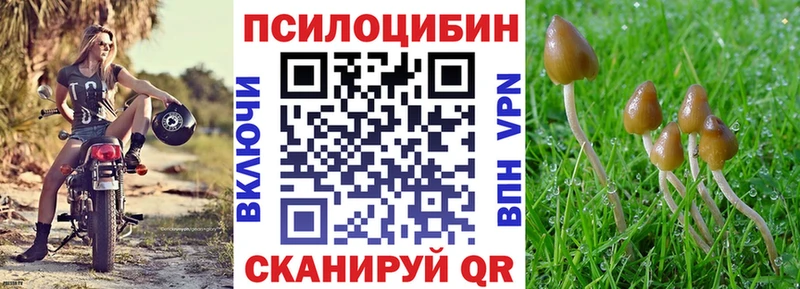 Псилоцибиновые грибы прущие грибы  купить наркотики сайты  Дно 